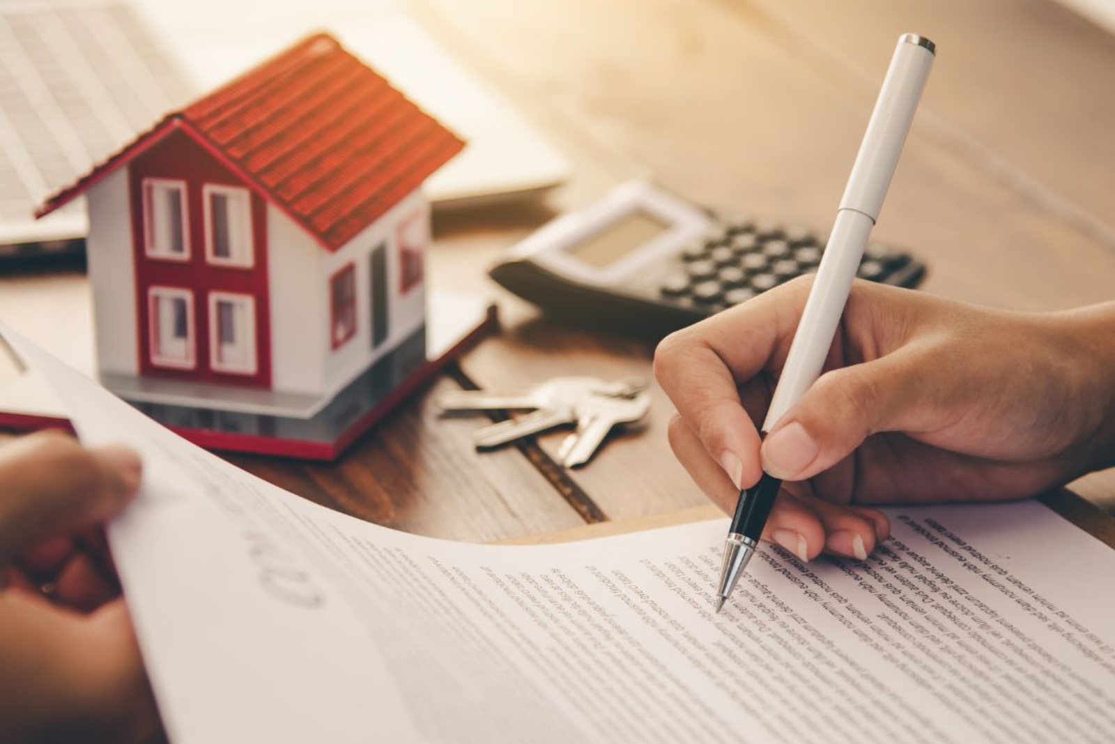 property lawyers in noida