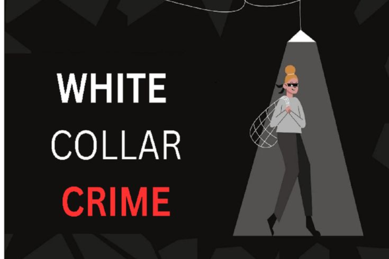 White Collar Crime Lawyer in Noida